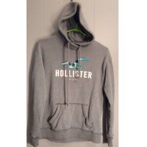 Hollister Miami Y2K Grey Men's Size X-Small Hoodie Long Sleeve